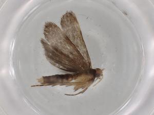  ( - BIOUG82612-E07)  @11 [ ] CreativeCommons - Attribution (2022) Centre for Biodiversity Genomics Centre for Biodiversity Genomics