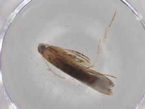  ( - BIOUG83001-E08)  @11 [ ] CreativeCommons - Attribution (2022) Centre for Biodiversity Genomics Centre for Biodiversity Genomics