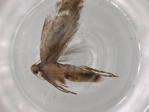  ( - BIOUG83007-H10)  @11 [ ] CreativeCommons - Attribution (2022) Centre for Biodiversity Genomics Centre for Biodiversity Genomics