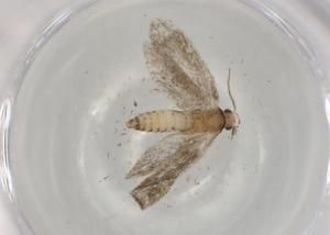  ( - BIOUG83044-D04)  @11 [ ] CreativeCommons - Attribution (2022) Centre for Biodiversity Genomics Centre for Biodiversity Genomics