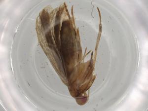  ( - BIOUG83044-G01)  @11 [ ] CreativeCommons - Attribution (2022) Centre for Biodiversity Genomics Centre for Biodiversity Genomics