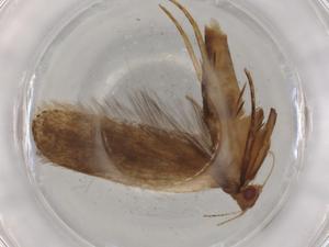  ( - BIOUG83158-D08)  @11 [ ] CreativeCommons - Attribution (2022) Centre for Biodiversity Genomics Centre for Biodiversity Genomics