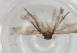  ( - BIOUG83200-B07)  @11 [ ] CreativeCommons - Attribution (2022) Centre for Biodiversity Genomics Centre for Biodiversity Genomics