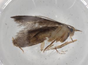  ( - BIOUG83940-C06)  @11 [ ] CreativeCommons - Attribution (2022) Centre for Biodiversity Genomics Centre for Biodiversity Genomics