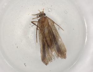  ( - BIOUG83225-E02)  @11 [ ] CreativeCommons - Attribution (2022) Centre for Biodiversity Genomics Centre for Biodiversity Genomics