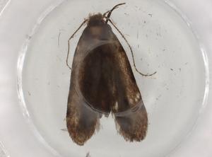  ( - BIOUG83225-E04)  @11 [ ] CreativeCommons - Attribution (2022) Centre for Biodiversity Genomics Centre for Biodiversity Genomics