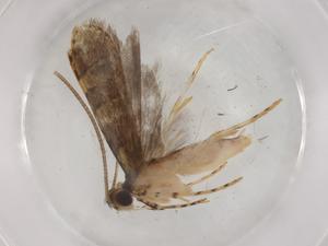  ( - BIOUG83292-B04)  @11 [ ] CreativeCommons - Attribution (2022) Centre for Biodiversity Genomics Centre for Biodiversity Genomics