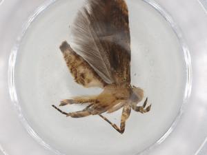  ( - BIOUG83358-E03)  @11 [ ] CreativeCommons - Attribution (2022) Centre for Biodiversity Genomics Centre for Biodiversity Genomics