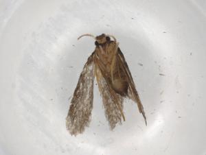  ( - BIOUG83392-B03)  @11 [ ] CreativeCommons - Attribution (2022) Centre for Biodiversity Genomics Centre for Biodiversity Genomics