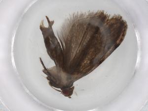  ( - BIOUG83457-B06)  @11 [ ] CreativeCommons - Attribution (2022) Centre for Biodiversity Genomics Centre for Biodiversity Genomics