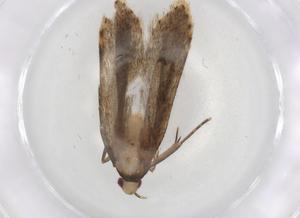  ( - BIOUG83457-D02)  @11 [ ] CreativeCommons - Attribution (2022) Centre for Biodiversity Genomics Centre for Biodiversity Genomics