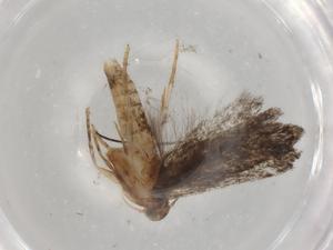  ( - BIOUG83865-C09)  @11 [ ] CreativeCommons - Attribution (2022) Centre for Biodiversity Genomics Centre for Biodiversity Genomics