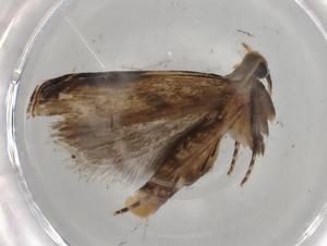  ( - BIOUG83865-F01)  @11 [ ] CreativeCommons - Attribution (2022) Centre for Biodiversity Genomics Centre for Biodiversity Genomics