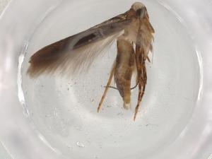  ( - BIOUG83969-G05)  @11 [ ] CreativeCommons - Attribution (2022) Centre for Biodiversity Genomics Centre for Biodiversity Genomics