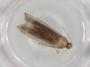  ( - BIOUG84264-B10)  @11 [ ] CreativeCommons - Attribution (2022) Centre for Biodiversity Genomics Centre for Biodiversity Genomics