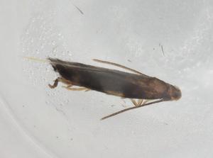  ( - BIOUG85104-B12)  @11 [ ] CreativeCommons - Attribution (2022) Centre for Biodiversity Genomics Centre for Biodiversity Genomics