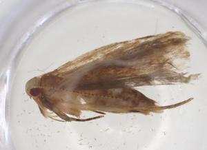  ( - CBG-A07870-E07)  @11 [ ] CreativeCommons - Attribution (2023) Centre for Biodiversity Genomics Centre for Biodiversity Genomics