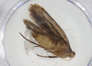  ( - CBG-A08108-F10)  @11 [ ] CreativeCommons - Attribution Share - Alike (2023) Centre for Biodiversity Genomics Centre for Biodiversity Genomics