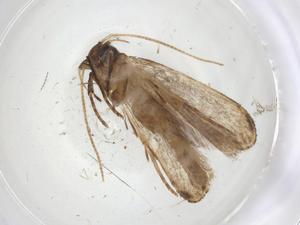  ( - CBG-A08122-H10)  @11 [ ] CreativeCommons - Attribution Share - Alike (2023) Centre for Biodiversity Genomics Centre for Biodiversity Genomics