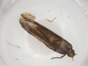  ( - CBG-A08454-C04)  @11 [ ] CreativeCommons - Attribution Share - Alike (2023) Centre for Biodiversity Genomics Centre for Biodiversity Genomics