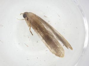  ( - CBG-A08456-B08)  @11 [ ] CreativeCommons - Attribution Share - Alike (2023) Centre for Biodiversity Genomics Centre for Biodiversity Genomics