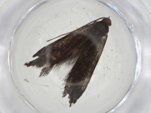  ( - CBG-A09513-D06)  @11 [ ] CreativeCommons - Attribution Share - Alike (2023) Centre for Biodiversity Genomics Centre for Biodiversity Genomics