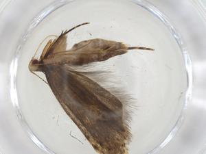  ( - CBG-A09513-G04)  @11 [ ] CreativeCommons - Attribution Share - Alike (2023) Centre for Biodiversity Genomics Centre for Biodiversity Genomics