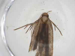  ( - CBG-A09525-E06)  @11 [ ] CreativeCommons - Attribution Share - Alike (2023) Centre for Biodiversity Genomics Centre for Biodiversity Genomics