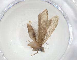  ( - CBG-A09525-E12)  @11 [ ] CreativeCommons - Attribution Share - Alike (2023) Centre for Biodiversity Genomics Centre for Biodiversity Genomics