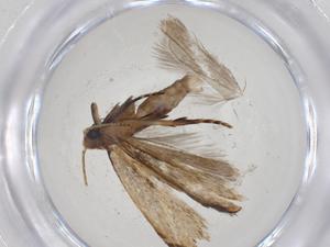  ( - CBG-A09526-F03)  @11 [ ] CreativeCommons - Attribution Share - Alike (2023) Centre for Biodiversity Genomics Centre for Biodiversity Genomics