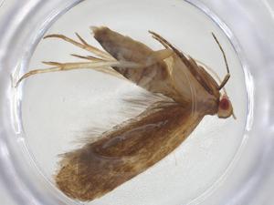  ( - CBG-A09545-E12)  @11 [ ] CreativeCommons - Attribution Share - Alike (2023) Centre for Biodiversity Genomics Centre for Biodiversity Genomics