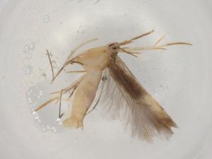  ( - BIOUG87647-G06)  @11 [ ] CreativeCommons - Attribution (2022) Centre for Biodiversity Genomics Centre for Biodiversity Genomics