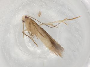  ( - BIOUG88279-F02)  @11 [ ] CreativeCommons - Attribution (2022) Centre for Biodiversity Genomics Centre for Biodiversity Genomics