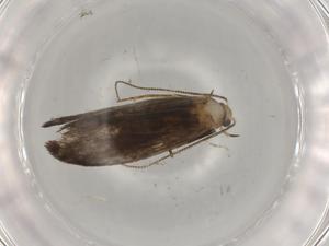  ( - BIOUG74587-D09)  @11 [ ] CreativeCommons - Attribution (2022) Centre for Biodiversity Genomics Centre for Biodiversity Genomics