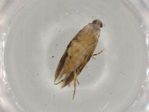  ( - BIOUG74587-D10)  @11 [ ] CreativeCommons - Attribution (2022) Centre for Biodiversity Genomics Centre for Biodiversity Genomics