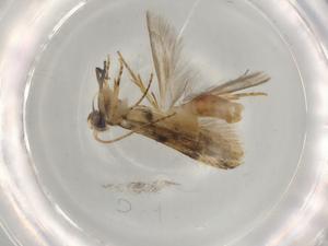  ( - BIOUG74589-A03)  @11 [ ] CreativeCommons - Attribution (2022) Centre for Biodiversity Genomics Centre for Biodiversity Genomics