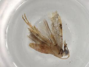  ( - BIOUG74590-A08)  @11 [ ] CreativeCommons - Attribution (2022) Centre for Biodiversity Genomics Centre for Biodiversity Genomics