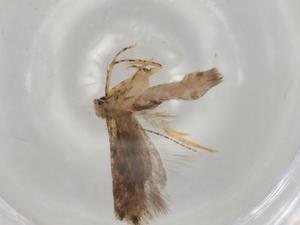  ( - BIOUG75706-E03)  @11 [ ] CreativeCommons - Attribution (2022) Centre for Biodiversity Genomics Centre for Biodiversity Genomics