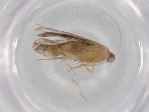  ( - BIOUG76532-F06)  @11 [ ] CreativeCommons - Attribution (2022) Centre for Biodiversity Genomics Centre for Biodiversity Genomics