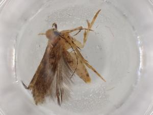  ( - BIOUG77091-D07)  @11 [ ] CreativeCommons - Attribution (2022) Centre for Biodiversity Genomics Centre for Biodiversity Genomics