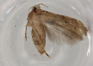  ( - BIOUG77093-G06)  @11 [ ] CreativeCommons - Attribution (2022) Centre for Biodiversity Genomics Centre for Biodiversity Genomics