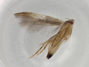  ( - BIOUG77107-A12)  @11 [ ] CreativeCommons - Attribution (2022) Centre for Biodiversity Genomics Centre for Biodiversity Genomics