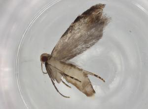  ( - BIOUG77110-H04)  @11 [ ] CreativeCommons - Attribution (2022) Centre for Biodiversity Genomics Centre for Biodiversity Genomics