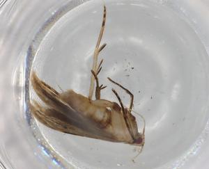  ( - BIOUG77114-G10)  @11 [ ] CreativeCommons - Attribution (2022) Centre for Biodiversity Genomics Centre for Biodiversity Genomics