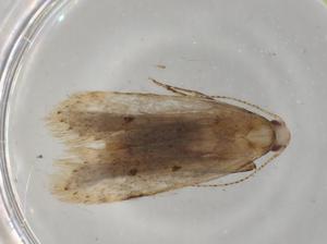  ( - BIOUG77114-H09)  @11 [ ] CreativeCommons - Attribution (2022) Centre for Biodiversity Genomics Centre for Biodiversity Genomics