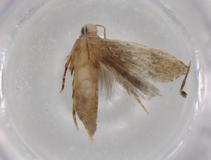  ( - BIOUG77159-E08)  @11 [ ] CreativeCommons - Attribution (2022) Centre for Biodiversity Genomics Centre for Biodiversity Genomics