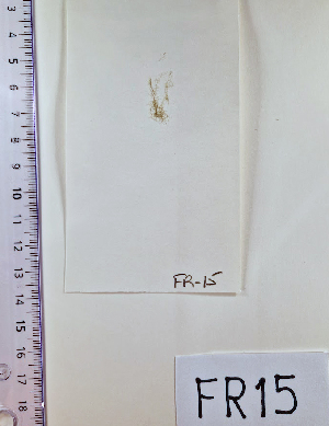  ( - FR15_ECTOCR)  @11 [ ] Creative Commons BY NC SA (2023) University of Bergen Natural History Collections