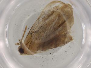  ( - BIOUG77475-B08)  @11 [ ] CreativeCommons - Attribution (2022) Centre for Biodiversity Genomics Centre for Biodiversity Genomics