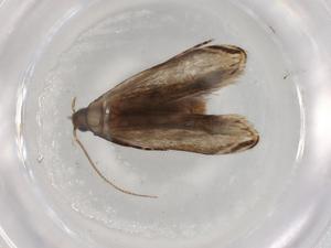  ( - BIOUG83602-G10)  @11 [ ] CreativeCommons - Attribution (2022) Centre for Biodiversity Genomics Centre for Biodiversity Genomics