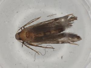  ( - BIOUG83611-D10)  @11 [ ] CreativeCommons - Attribution (2022) Centre for Biodiversity Genomics Centre for Biodiversity Genomics